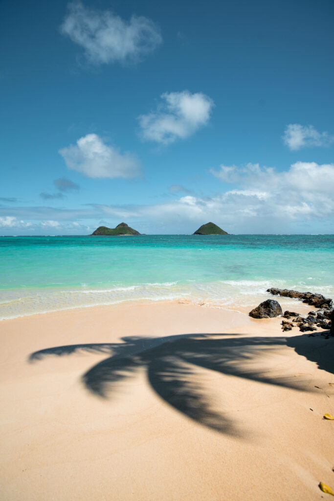 Serene Beach Scene: Turquoise Waters & Palm Shadow Wallpaper