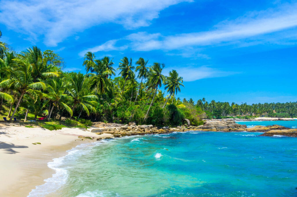 Tropical Beach Wallpaper: Serene Turquoise Waters & Palm Trees