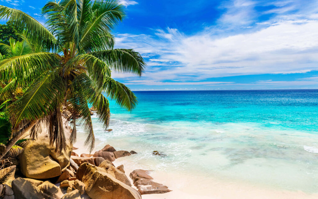 Idyllic Tropical Beach Wallpaper: Crystal Waters & Lush Palms