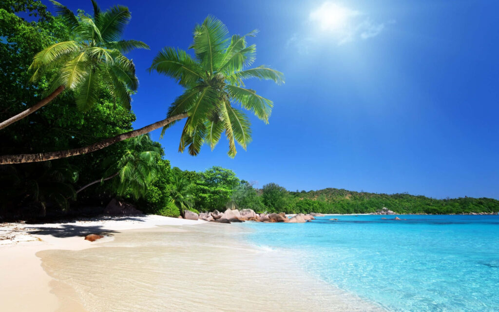 Vibrant Tropical Wallpaper: Clear Beach, Turquoise Waters & Palm Trees