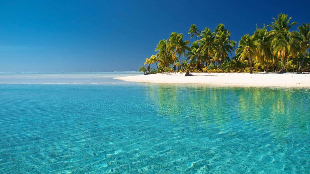 Tropical Beach Wallpaper: Crystal-Clear Waters & Lush Palm Trees