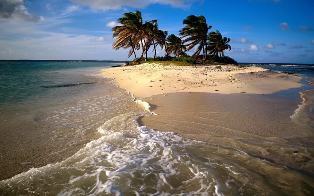 Serene tropical beach wallpaper with golden sand turquoise waves and swaying palm trees under blue sky