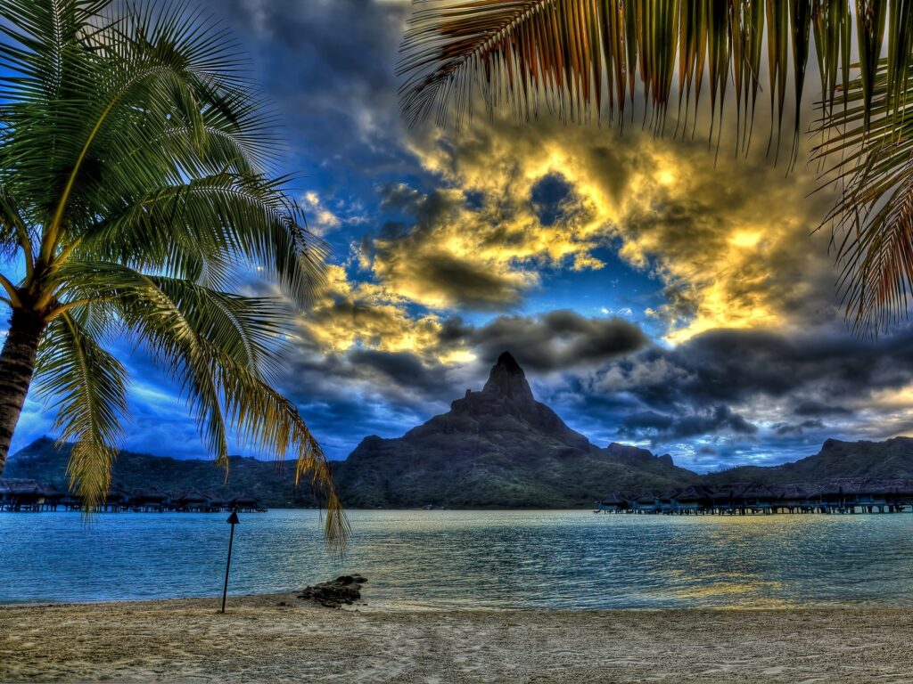 Tropical beach wallpaper with palm trees soft sand calm sea mountain and golden sunlight sky