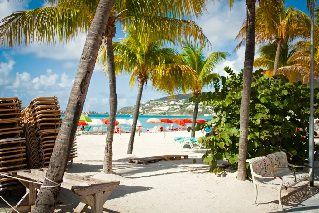 Vibrant tropical beach wallpaper with palm trees golden sand colorful umbrellas and blue sky