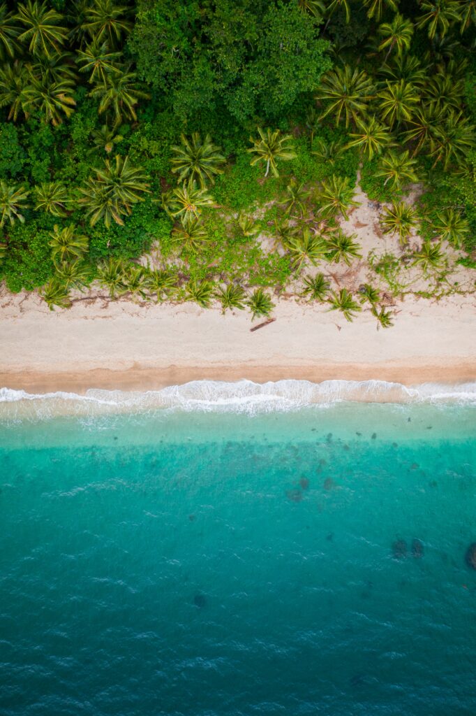 Top view of tropical beach with palm trees golden sand and turquoise waves wallpaper background