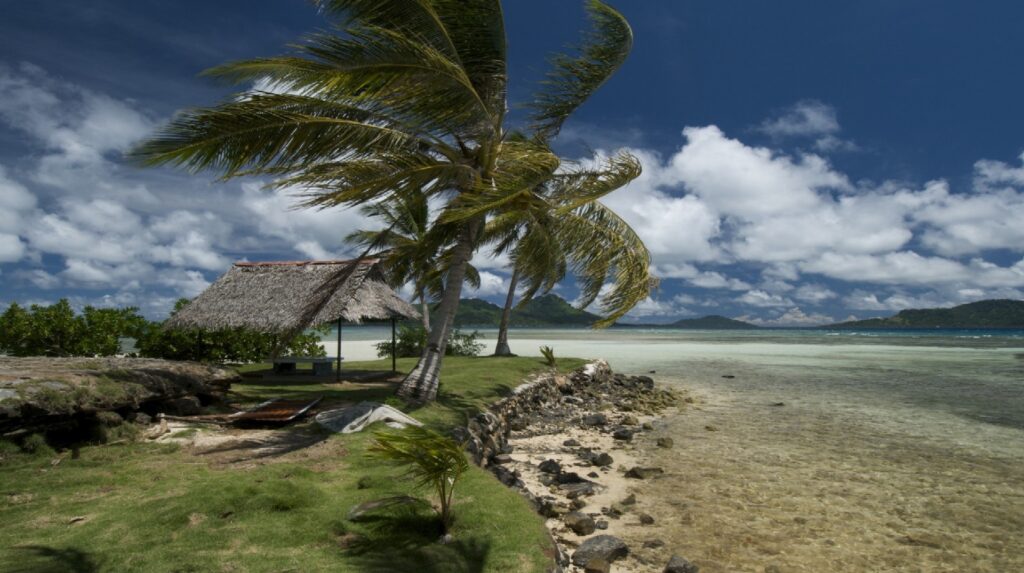 Tropical beach wallpaper with palm trees thatched canopy turquoise waters and distant islands