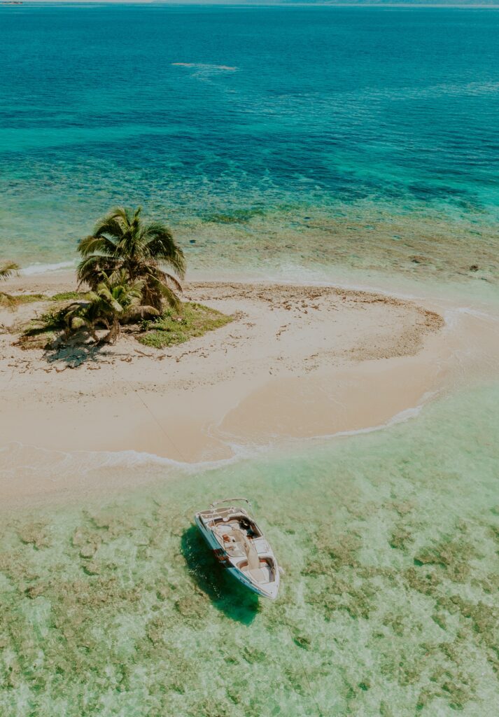 Tropical beach wallpaper with lush palms turquoise sea and sleek boat for peaceful escape