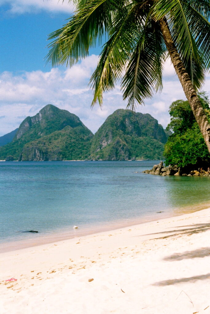 Tropical beach wallpaper with white sand turquoise sea palm trees and green mountains under blue sky