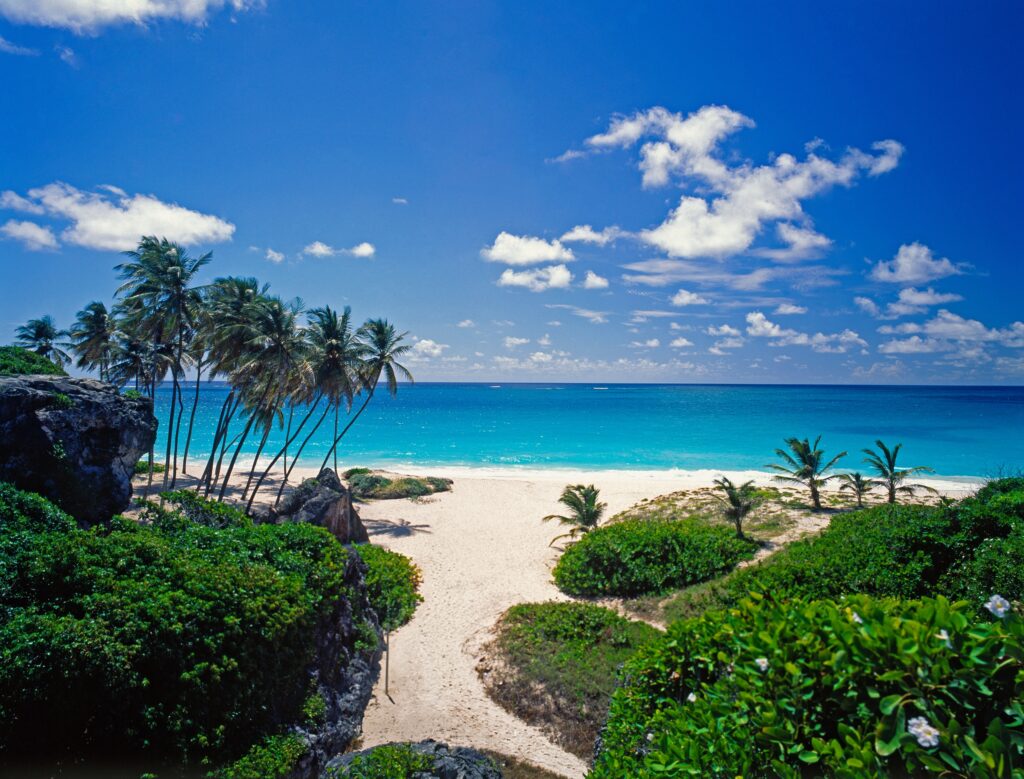 Tropical beach wallpaper with white sand palm trees turquoise sea and clear blue sky sunlight