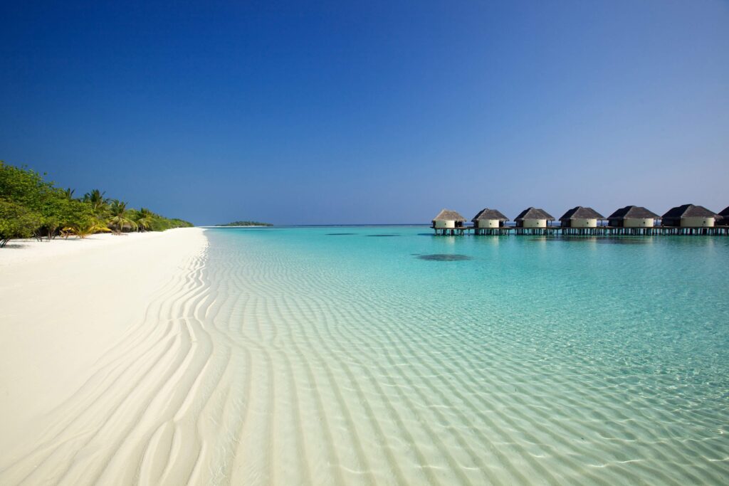 Tropical beach wallpaper with turquoise ocean white sand palm trees and overwater bungalows