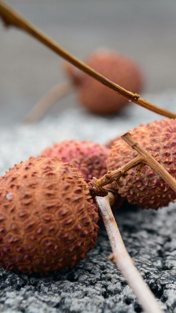 Tropical Lychee Wallpaper: Brown Lychees Close-Up on Natural Surface