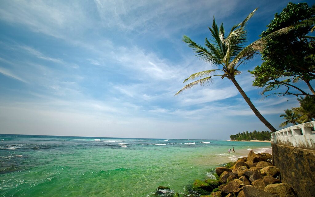 Serene tropical coast with palm trees mossy stones turquoise water and relaxing people by shore Wallpaper