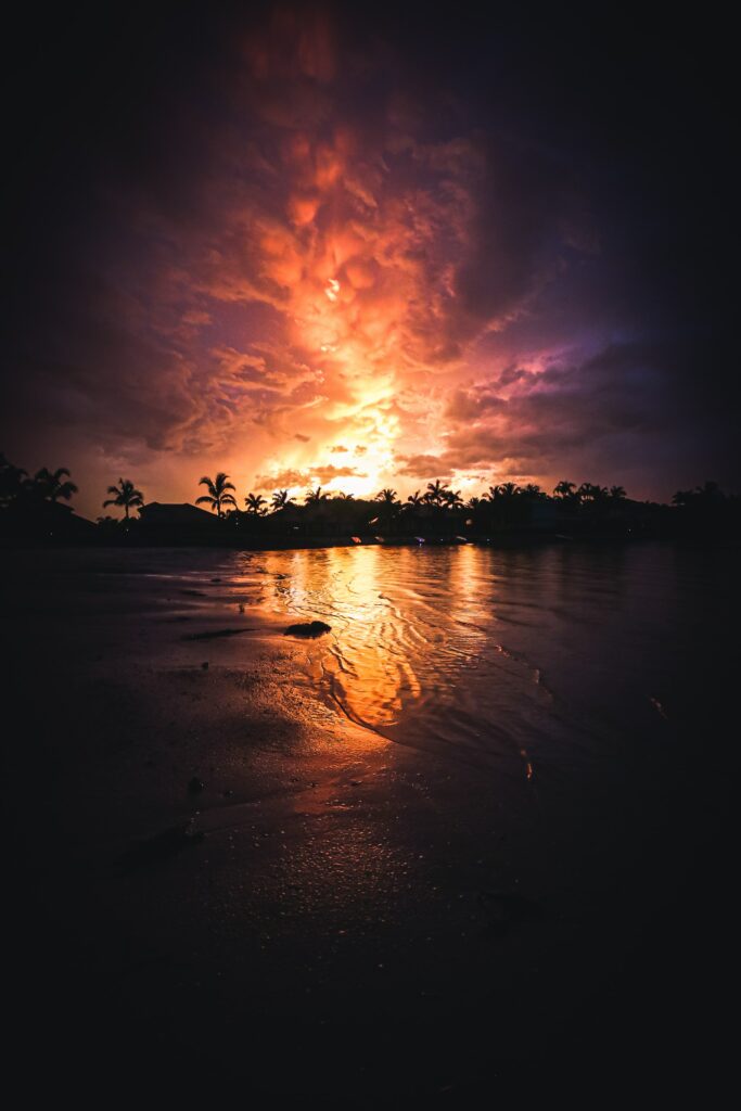 Tropical coastal sunset with orange purple sky calm water silhouetted palm trees serene wallpaper