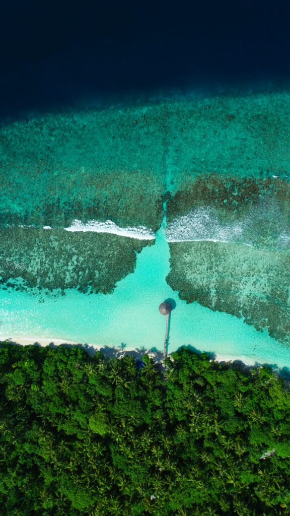 Aerial view of tropical coastline with turquoise sea lush palm trees and serene sandy beach background Wallpaper