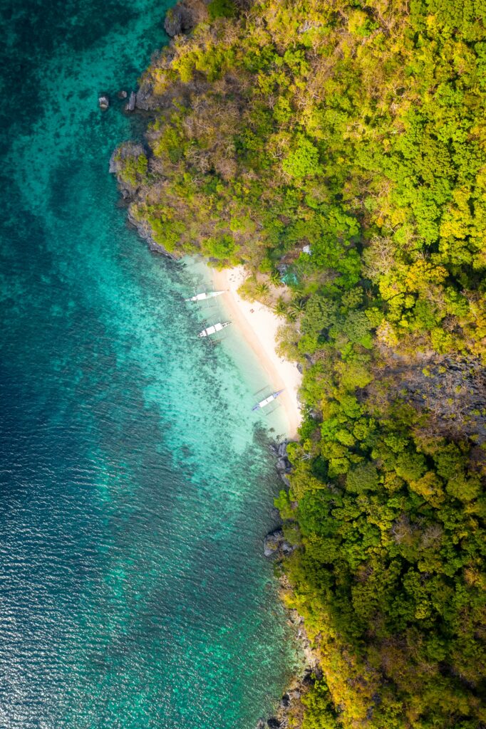 Aerial view of vibrant tropical coastline with lush green trees turquoise water and boats on beach Wallpaper