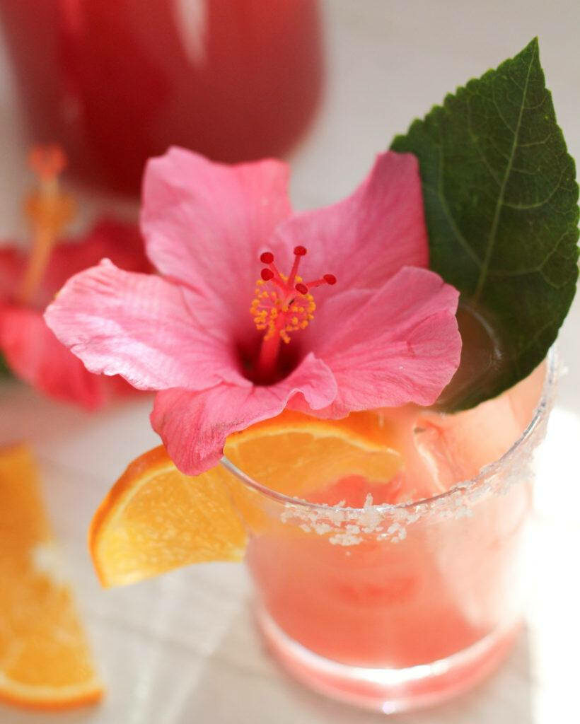 Tropical Cocktail Wallpaper with Hibiscus and Orange Slice