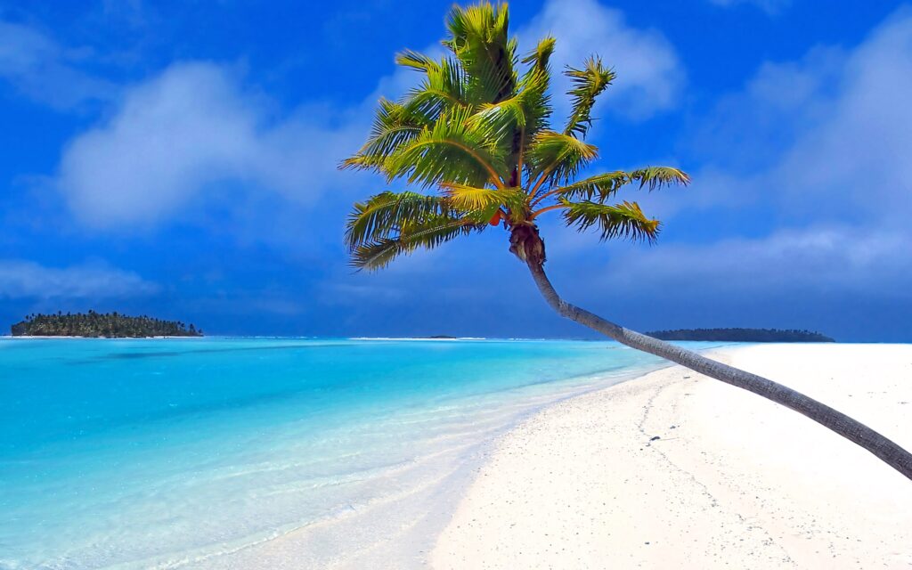Tropical beach wallpaper with crooked coconut tree white sand turquoise water and deep blue sky