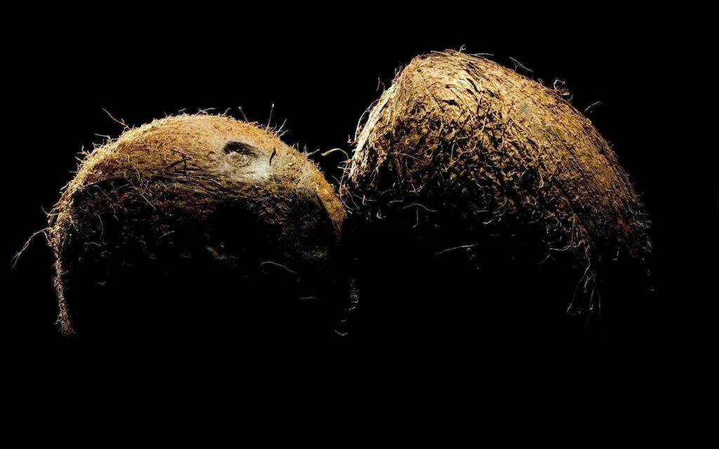 Two coconuts with rough textures on black background tropical refreshing natural brown hues wallpaper