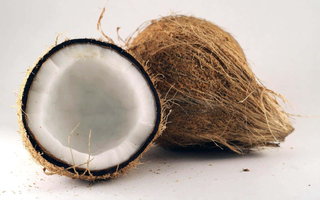 Two coconuts with textured shells and white flesh on a clean white background tropical wallpaper