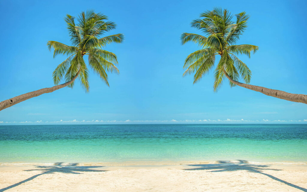 Tropical Desktop Wallpaper: Bent Palm Trees & Vibrant Beach Scene