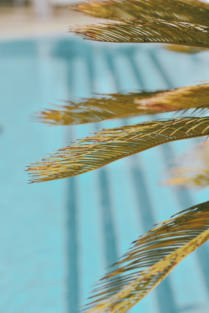 Dry palm branches golden brown against soft blue swimming pool background wallpaper design