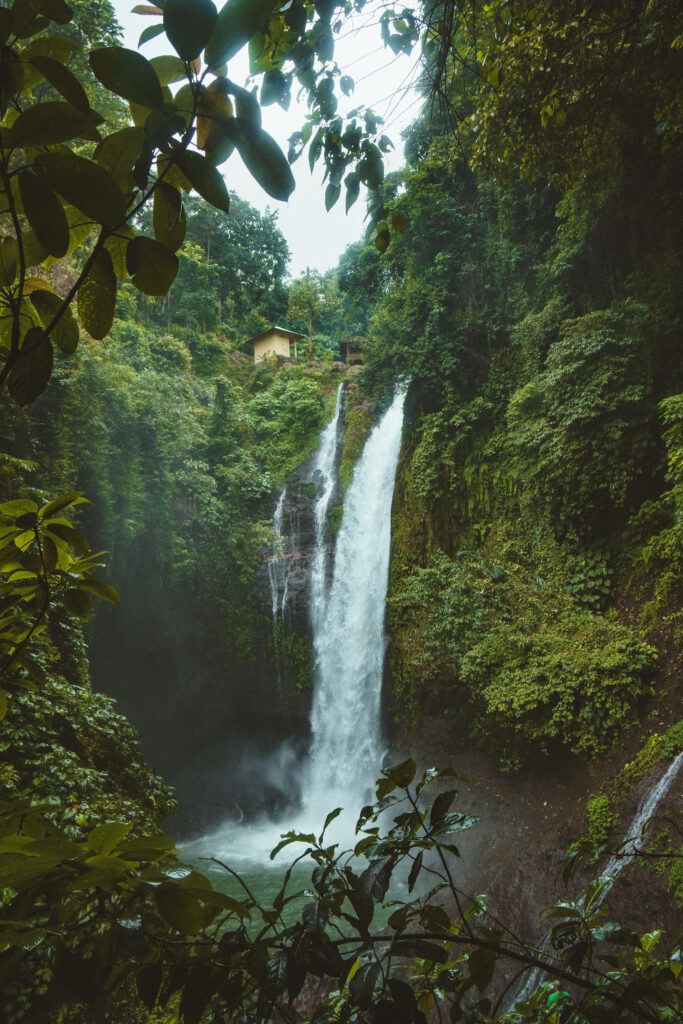 Tropical Forest Waterfall iPhone Wallpaper - Serene Nature Background