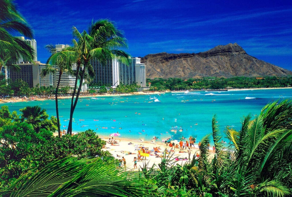 Tropical Hawaiian Beach: Turquoise Waters & Lush Palm Trees Wallpaper