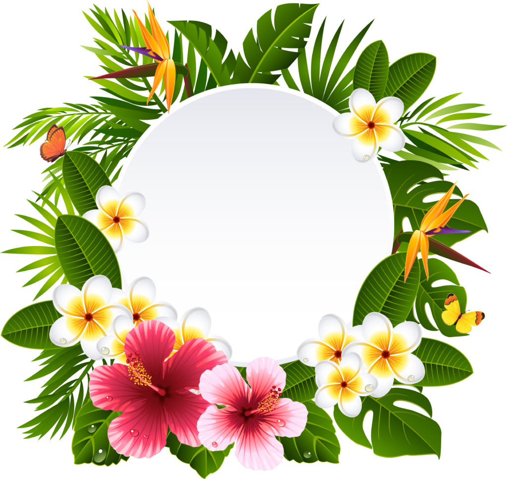 Tropical Hawaiian Floral Wallpaper with Hibiscus & Plumeria Frame