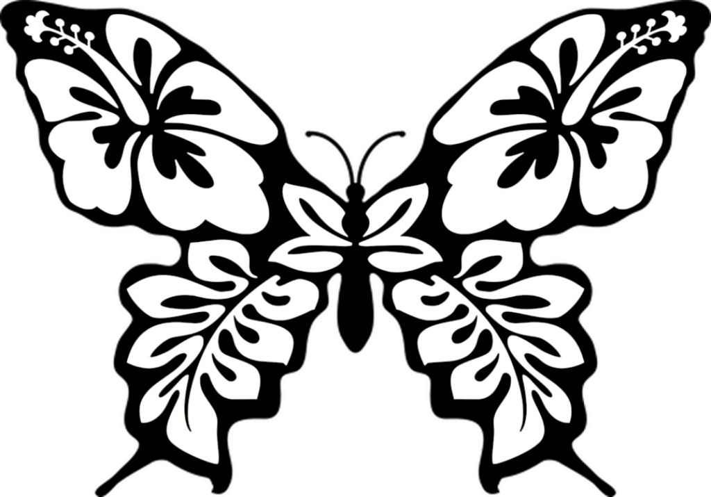 Tropical Silhouette Art: Hibiscus & Butterfly Wallpaper Background