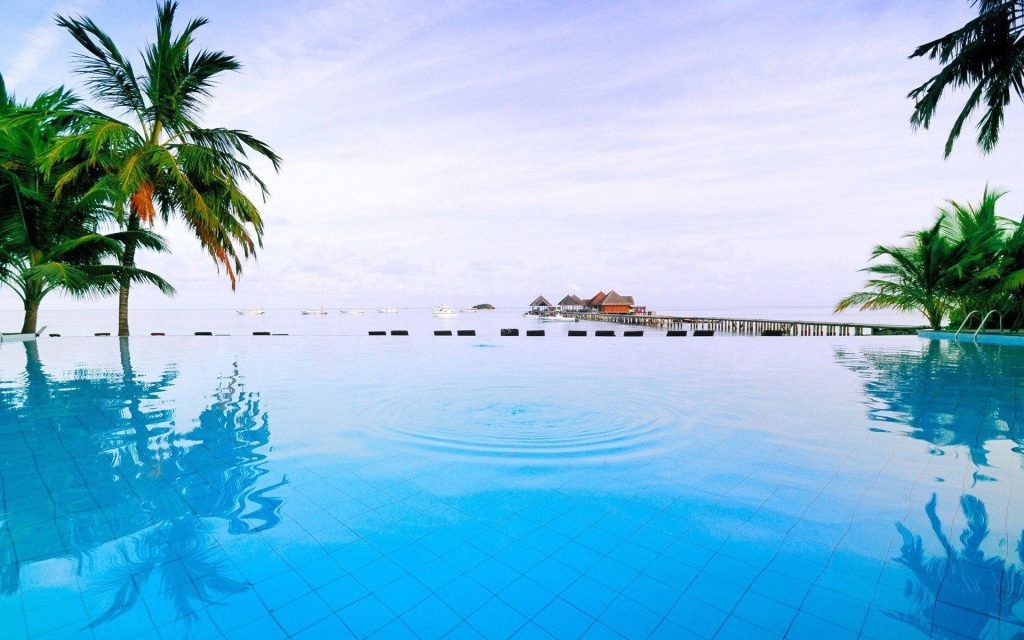 Tropical infinity pool with palm trees overlooking ocean pier and overwater resort bungalows wallpaper