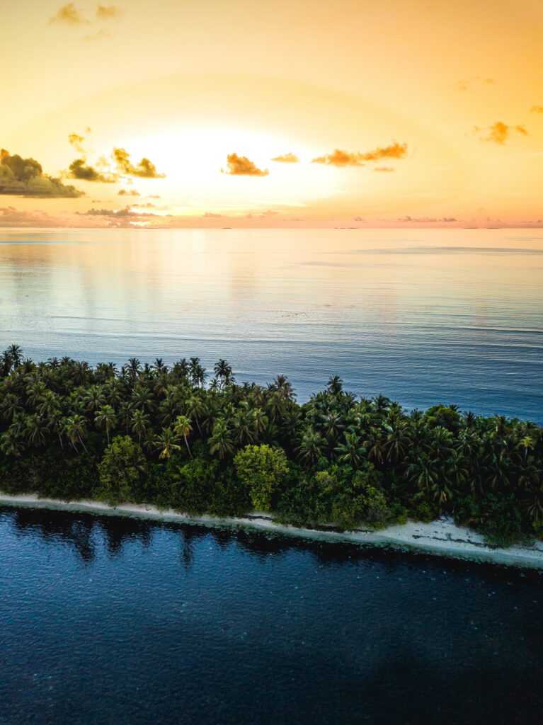 Aerial view of tropical island with green palms and calm ocean waters at golden sunset Wallpaper