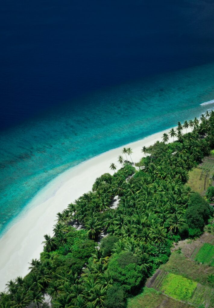 Aerial view of tropical island with lush palms white sandy beach and clear turquoise sea summer wallpaper