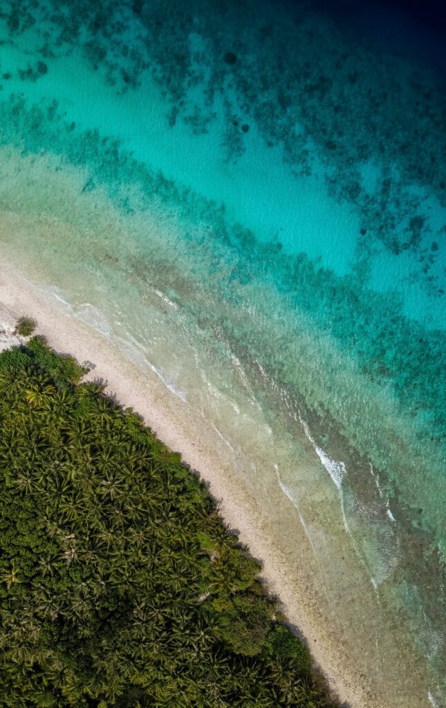 Aerial view of tropical island with palm trees sandy beach and clear turquoise ocean waters wallpaper