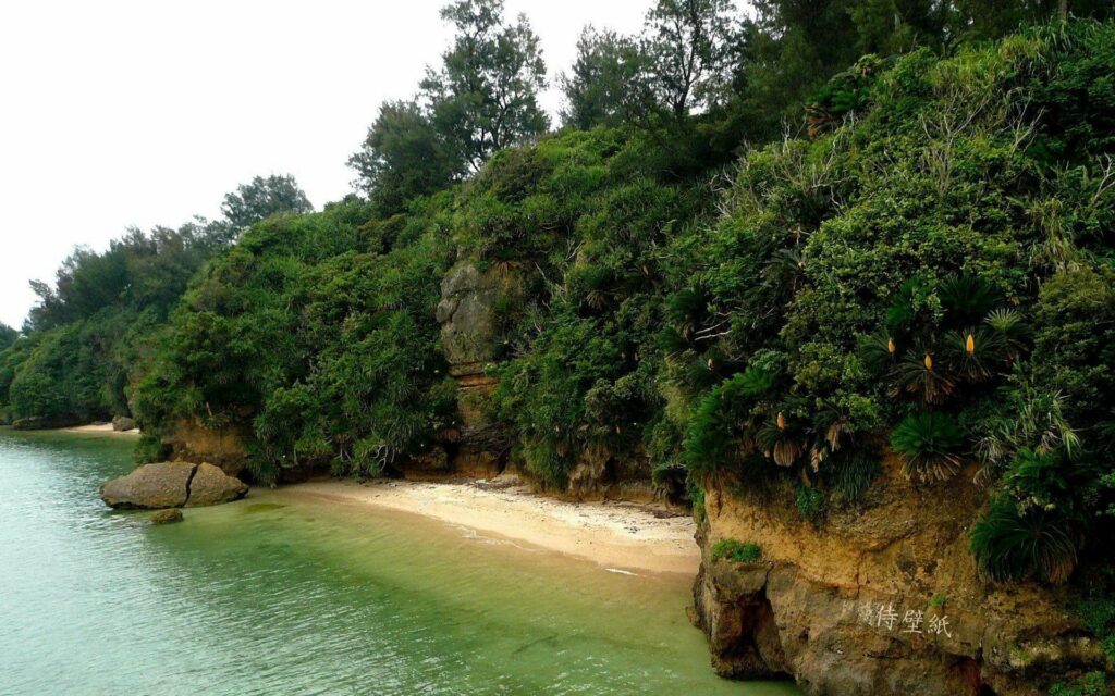 Tropical island coastline with dense green cliffs golden sand and calm turquoise waters wallpaper