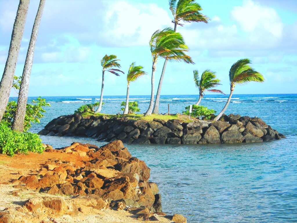 Tropical island wallpaper with palm trees clear blue water bright sky and rocky shore background