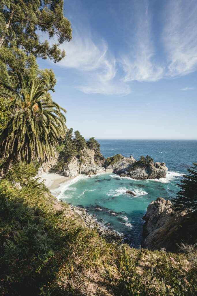 Lush tropical island with tall palms rocky cliffs and clear turquoise sea under bright sky wallpaper