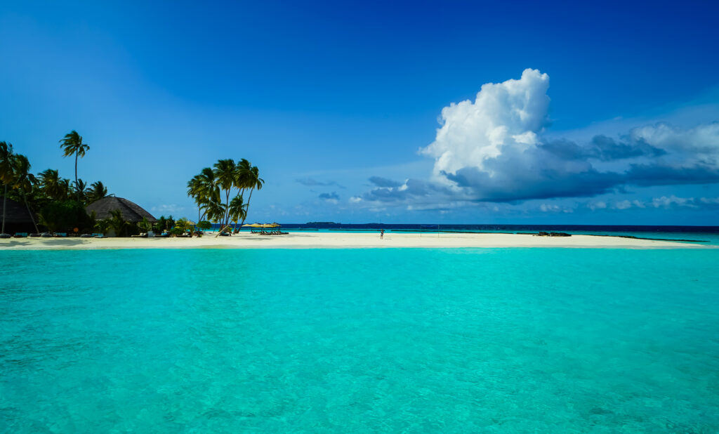 Tropical island wallpaper with turquoise waters white sand lush palm trees and dramatic blue sky