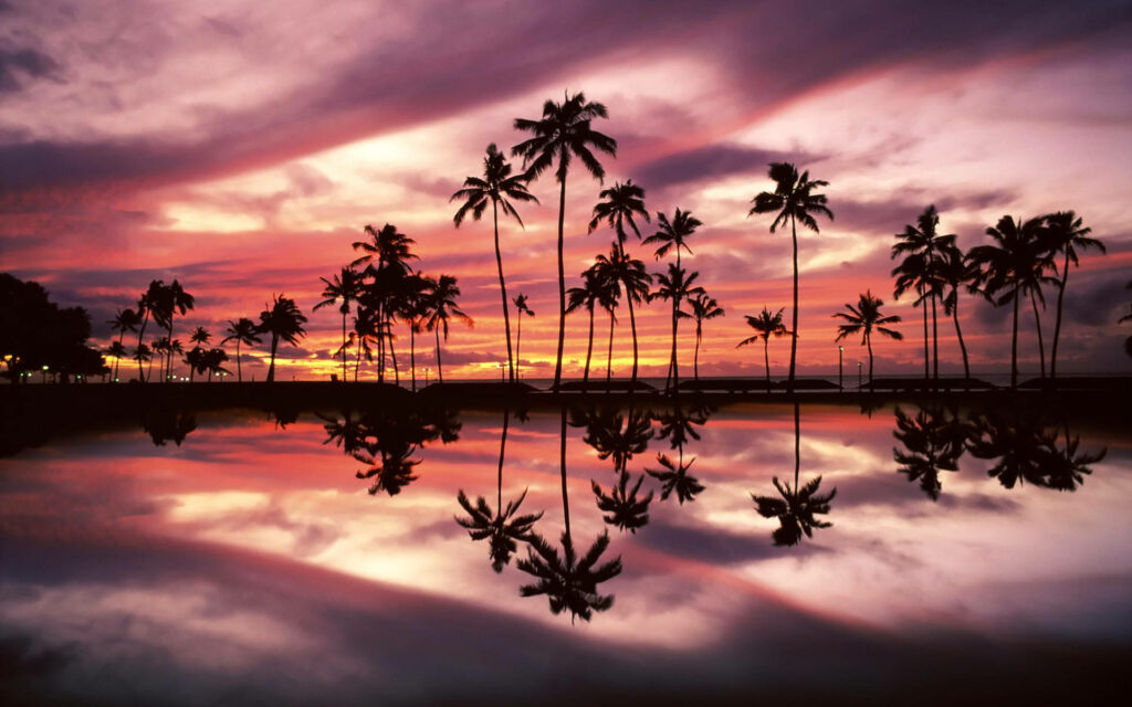 Tropical Island Sunset Wallpaper for MacBook Air - Serene Palm Reflections