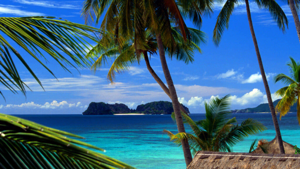 Tropical Paradise Wallpaper: Clear Waters & Lush Palm Trees