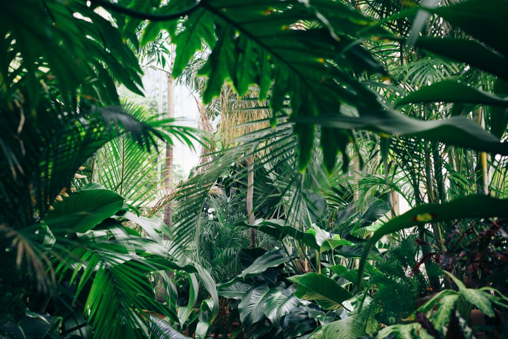 Vibrant Botanical Garden Wallpaper: Lush Greenery & Tropical Vibes