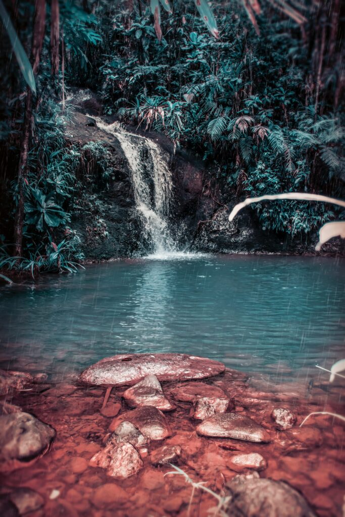 Tropical jungle waterfall flowing into turquoise pool surrounded by lush greenery and mossy stones Wallpaper