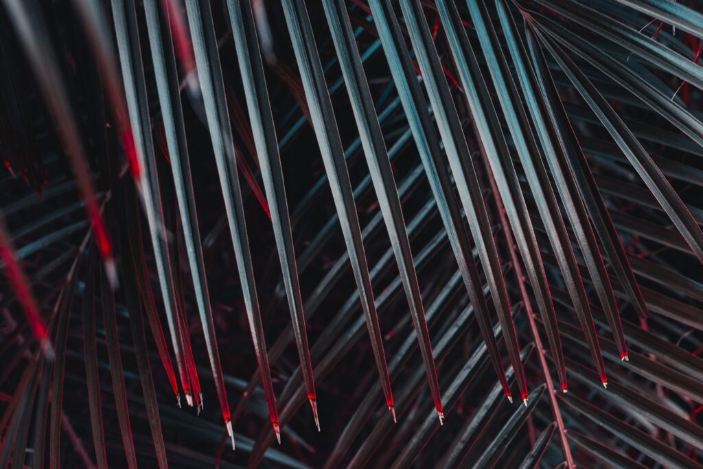 Close-up of tropical plant leaves in blue and red tones with dramatic lighting modern wallpaper