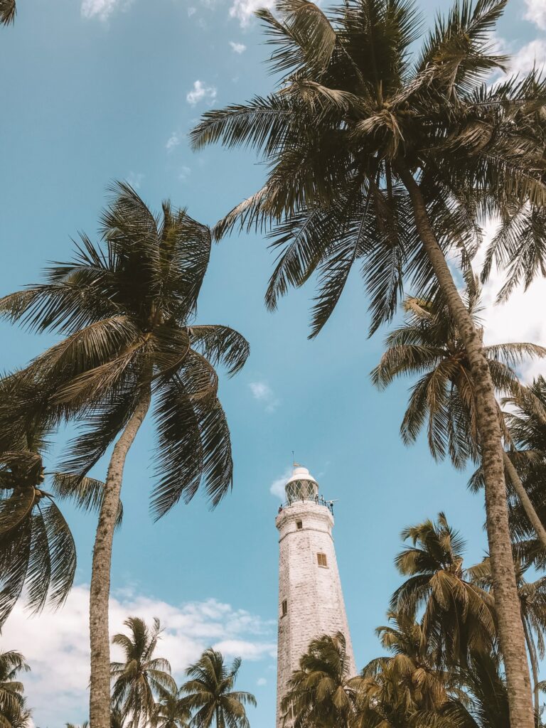 Scenic tropical lighthouse with tall palm trees under bright blue sky coastal wallpaper background
