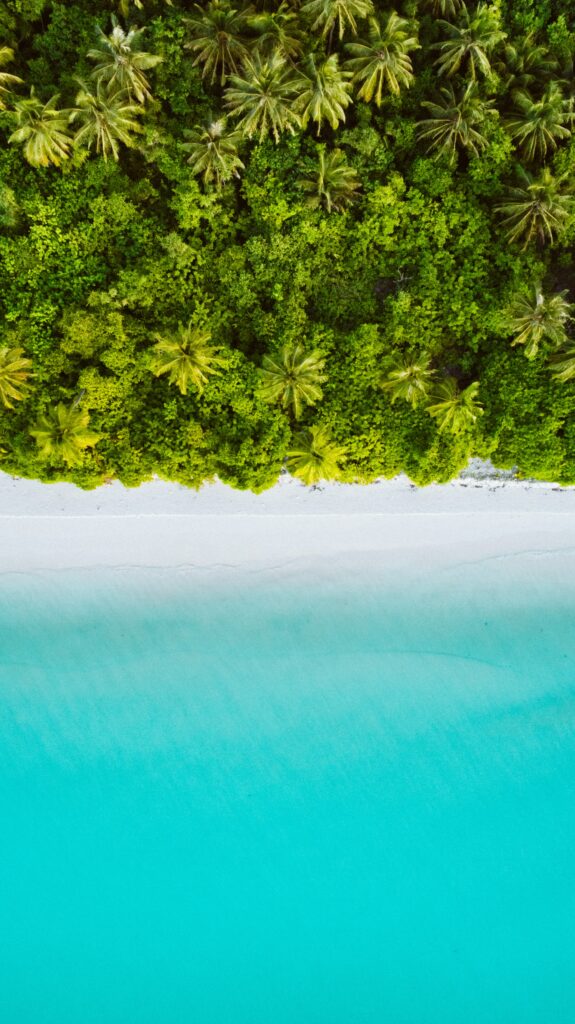Aerial view of lush palm trees blue waters and white sand beach in tropical Maldives paradise Wallpaper