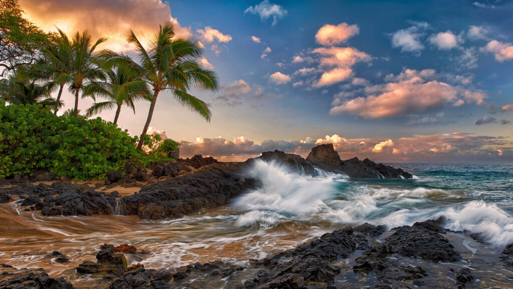Tropical Maui Wallpaper: Palm Trees, Ocean Waves & Volcanic Rocks