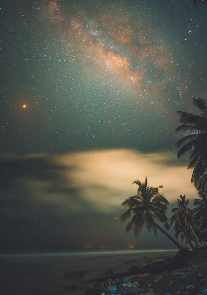 Tropical shore at night with silhouetted palms starry sky and Milky Way wallpaper background