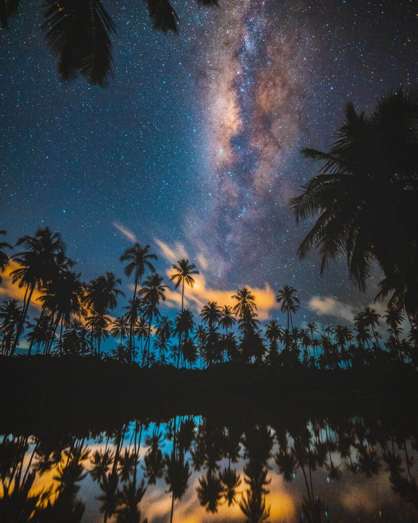 Tall palm trees silhouette under Milky Way night sky with stars reflecting on calm tropical waters wallpaper