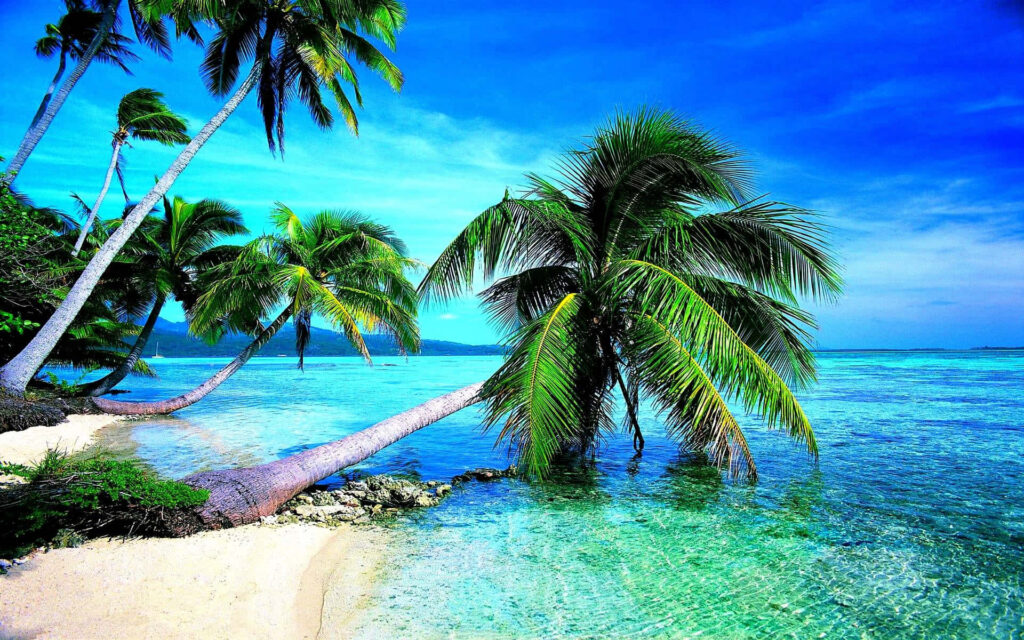 Tropical Ocean Paradise Wallpaper: Clear Waters & Sunny Sky Background