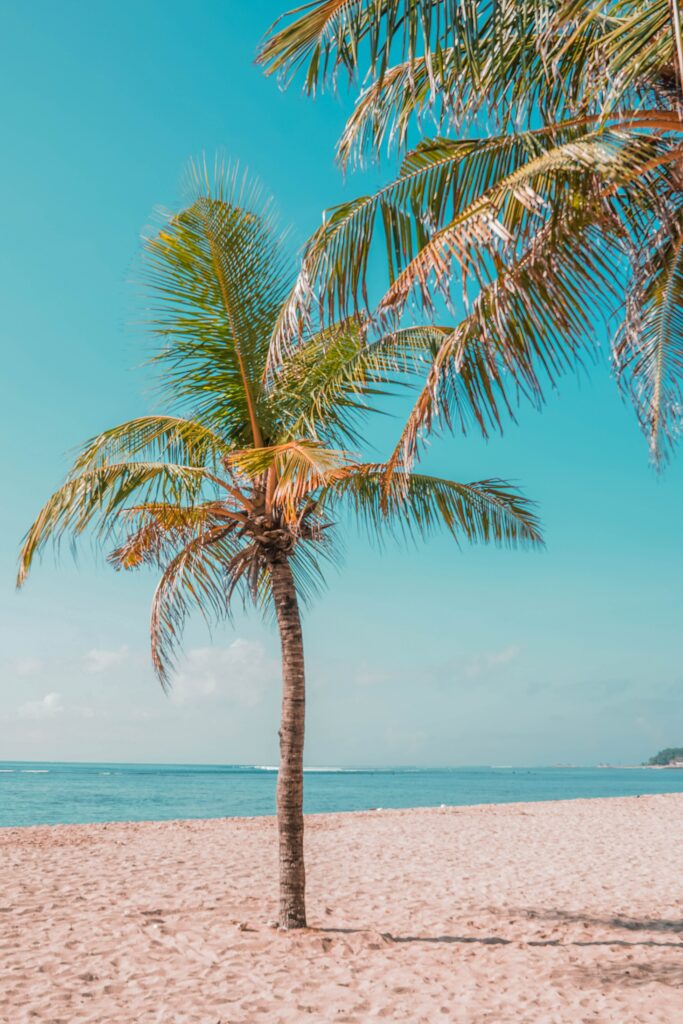 Vibrant tropical wallpaper with single palm tree on sandy beach and turquoise sea horizon sky