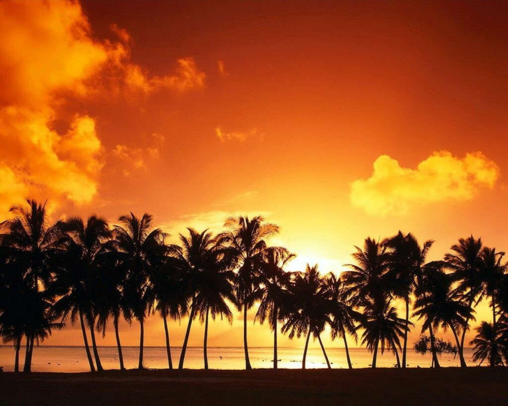 Palm tree silhouettes at sunset over calm tropical sea reflecting vibrant orange sky wallpaper